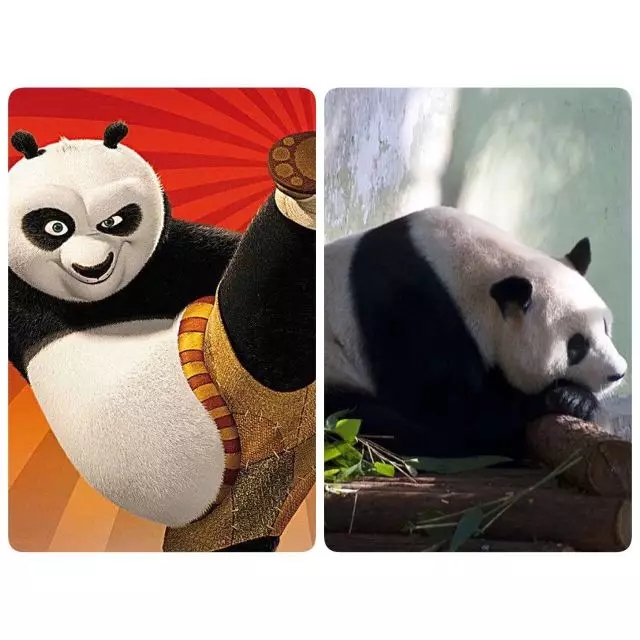 上海外教一对一